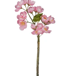 Apfelblütenzweig APFELBLÜTE