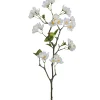 Apfelblütenzweig APFELBLÜTE
