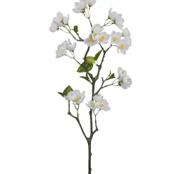Apfelblütenzweig APFELBLÜTE