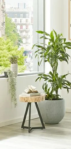 Haku Beistelltisch PATNA* Couchtische