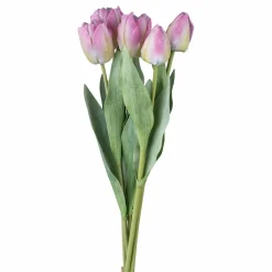 Blumenstrauß 5er TULPE