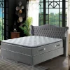 Boxbett COSTARICO