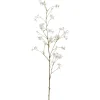 Cornuszweig REAL TOUCH