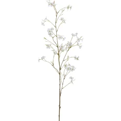 Cornuszweig REAL TOUCH