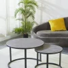 Couchtische 2er-Set C680