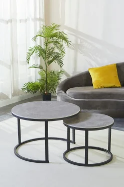 Couchtische 2er-Set C680