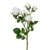 Deko-Blume POLYANTROSE