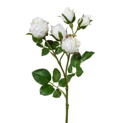 Deko-Blume POLYANTROSE