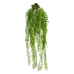 Gasper Dekopflanze COLUMNEA* Kunstpflanzen