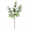 Dekopflanze Eukalyptuszweig EUKALYPTUS