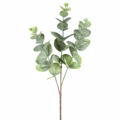 Dekopflanze Eukalyptuszweig EUKALYPTUS