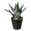 Deko-Pflanze im Topf 20cm ALOE