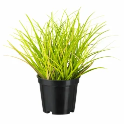 Gasper Dekopflanze im Topf GRAS* Kunstpflanzen