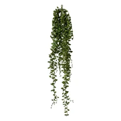 Gasper Deko-Pflanze SENECIO* Kunstpflanzen