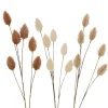 Boltze Dekozweig SAMTGRAS* Kunstpflanzen|Ostern