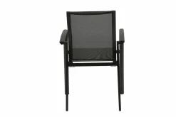 Dining Sessel C31042