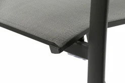 Dining Sessel C31042