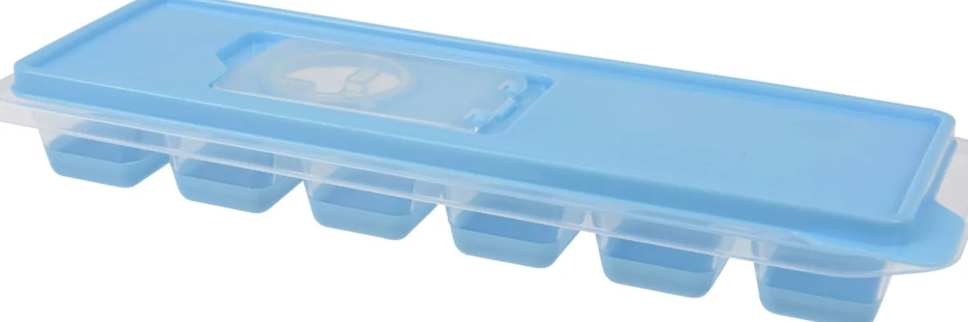 Eiswürfelform mit Deckel EH