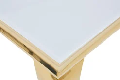 Euro Tische Esstisch CT53G-W* Esstische
