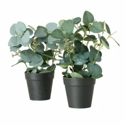 Boltze Eukalyptus im Topf FLOWERS* Kunstpflanzen