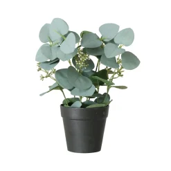 Boltze Eukalyptus im Topf FLOWERS* Kunstpflanzen