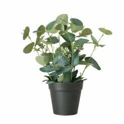 Boltze Eukalyptus im Topf FLOWERS* Kunstpflanzen