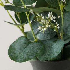 Boltze Eukalyptus im Topf FLOWERS* Kunstpflanzen