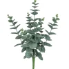 Eukalyptusbusch EUKALYPTUS