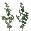 Eukalyptuszweig FLOWERS