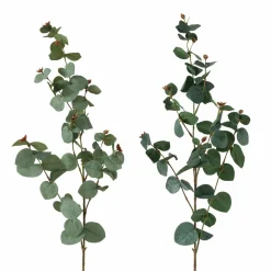 Eukalyptuszweig FLOWERS