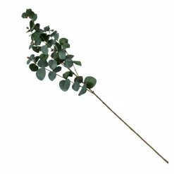 Eukalyptuszweig FLOWERS