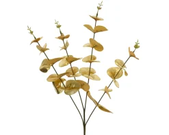 Eukalyptuszweig FLOWERS