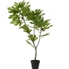 Kaemingk Feigenbaum im Topf TREE* Kunstpflanzen