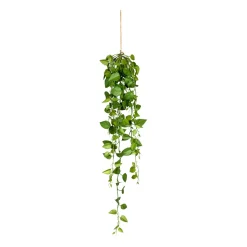 Gasper Grünpflanze im Topf PHILODENDRON* Kunstpflanzen