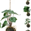 Hängepflanze 30cm BOTANIC