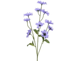 Kornblume FLOWER