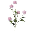 Kornblume FLOWER