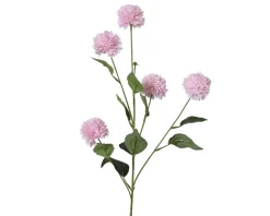 Kornblume FLOWER