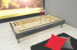 Sun Garden Lattenrost L 2120 NV RUBIN BASIC* Nicht Verstellbare Lattenroste
