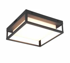 LED Deckenleuchte WITHAM