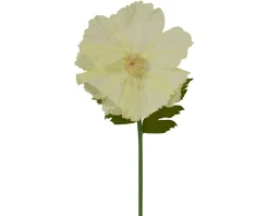 Mohnblume XL FLOWER