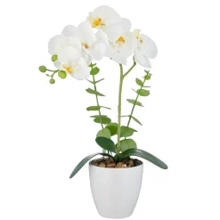Orchidee im Topf REAL TOUCH