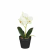 Edelman Phalaenopsis im Topf grün 25cm ORCHIDEE* Kunstpflanzen