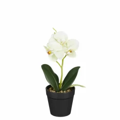 Edelman Phalaenopsis im Topf grün 25cm ORCHIDEE* Kunstpflanzen