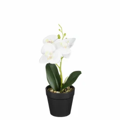 Edelman Phalaenopsis im Topf weiss 25cm ORCHIDEE* Kunstpflanzen