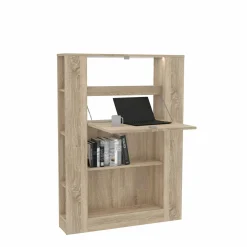 Forte Regal MULTIFUNCTIONAL* Aktenregale|Bücherregale
