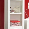Forte Regal SNOW*Kinder Kinderregale
