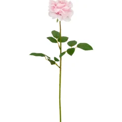 Rose REAL TOUCH