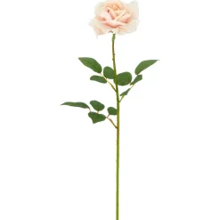 Rose REAL TOUCH