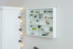 Inter Link Sammlervitrine COMPILATI* Sammlervitrinen